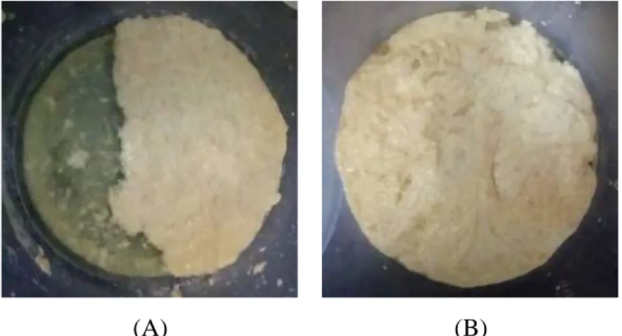 Gambar 1. Cream cheese Hasil Fermentasi dengan L. Bulgaricus dan Ditambah Kulit Ari  Psyllium dengan Konsentrasi (A) 1% (b/v) dan (B) 5%(b/v)