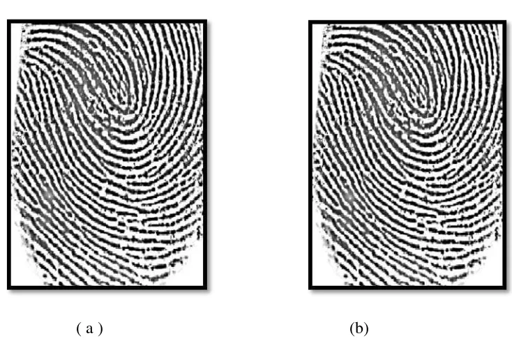 Gambar 3.3. Hasil normalisasi citra, (a) citra asli; (b) citra ternormalisasi [17] 