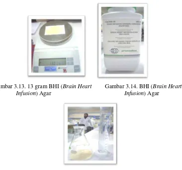 Gambar 3.13. 13 gram BHI (Brain Heart         Gambar 3.14. BHI (Brain Heart     