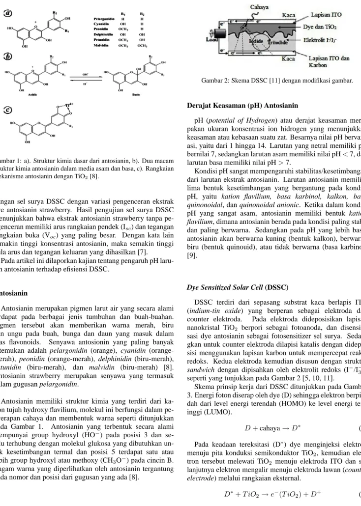 Gambar 1: a). Struktur kimia dasar dari antosianin, b). Dua macam struktur kimia antosianin dalam media asam dan basa, c)