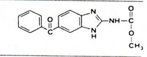 Gambar 6. Struktur kimia mebendazol  (Sumber : Csaky &amp; Barnes, 1984)       