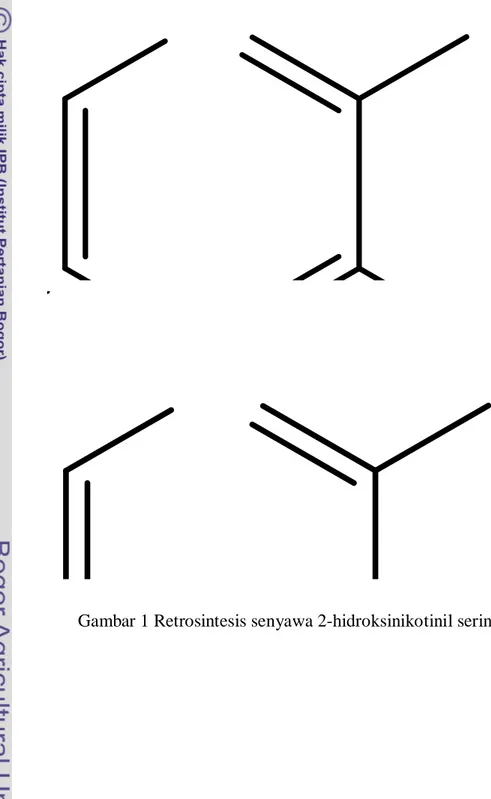 Gambar 1 Retrosintesis senyawa 2-hidroksinikotinil serin metil oktanoil ester 