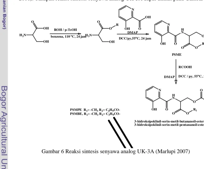 Gambar 6 Reaksi sintesis senyawa analog UK-3A (Marlupi 2007) 