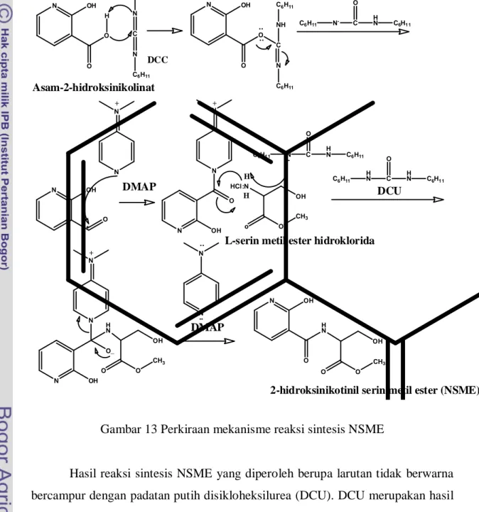 Gambar 13 Perkiraan mekanisme reaksi sintesis NSME 