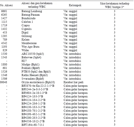 Tabel 1. Daftar 33 aksesi padi tahan wereng batang coklat (WBC) biotipe 3 yang dianalisis dengan 30                penanda SSR telit