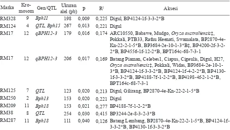 Tabel 3. Marka SSR putatif terkait gen atau QTL ketahanan padi terhadap wereng batang coklat (WBC)             biotipe 3 dan varietas/calon galur harapan yang terdeteksi mengandung alel gen atau QTL tersebut