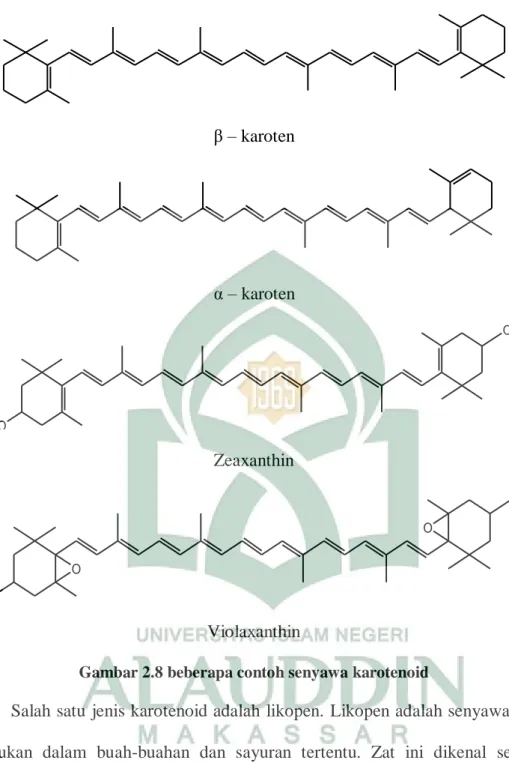 Gambar 2.8 beberapa contoh senyawa karotenoid 
