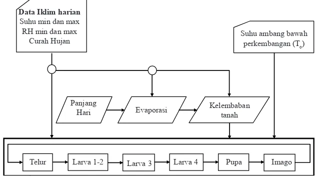 Tabel 1. Periode perkembangan (hari) telur, larva,                dan pupa pada suhu konstan (°C)