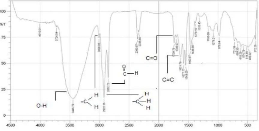 Gambar 2. Spetrum Spektrofotometer UV-Vis ekstrak cabe merah hasil KKCV (metanol: 