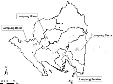 Gambar 1. Lokasi penelitian pada perkebunan lada  di empat kabupaten di Provinsi Lampung.