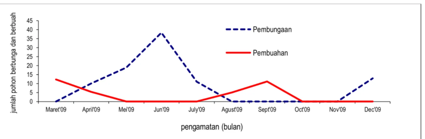 Gambar 2. Waktu dan tingkat berbunga dan berbuah Santalum album di plot konservasi ex- ex-situ Watusipat, Gunungkidul, Yogyakarta (n=280 pohon) 