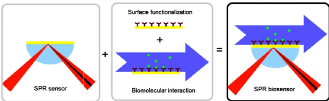 Gambar  1.1  Sensor  SPR  dilengkapi  dengan  permukaan  fungsional  sebagai  elemen  biorecognition