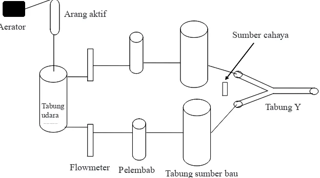 Gambar 1.  Skematik rancangan pengujian perilaku orientasi parasitoid Anagrus nilaparvatae dengan                        menggunakan olfaktometer tabung-Y.