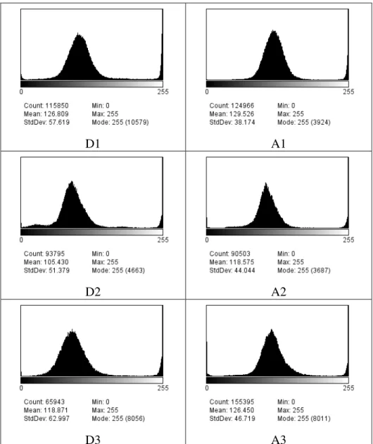 Gambar 6. Sampel histogram citra pasien; D1-3 histogram citra pasien dewasa,  A1-3 histogram citra pasien anak