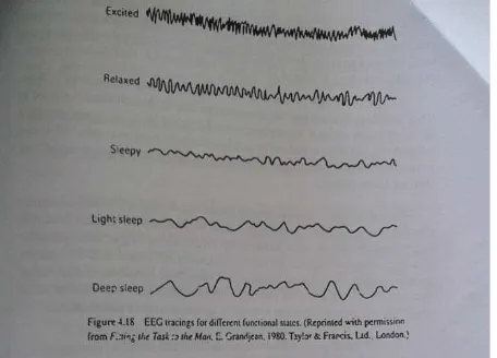 Gambar 3.1. Alat Electroencephalograph (EEG) 