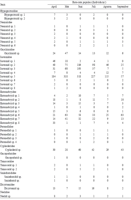 Tabel 1. Tingkat rata-rata jenis populasi Collembola di semua titik pengamatan