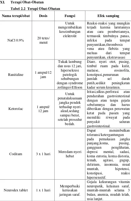 Tabel 2.2  Terapi Obat-Obatan  