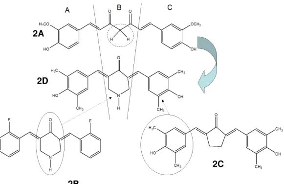 Gambar 2. Modifikasi senyawa kurkumin (gambar 2A) menjadi analognya (3,5-bis- (3,5-bis-(4 1 -hidroksi-3 1 ,5 1 -dimetilbenzilidin)-piperidin-4-on (gambar 2D)