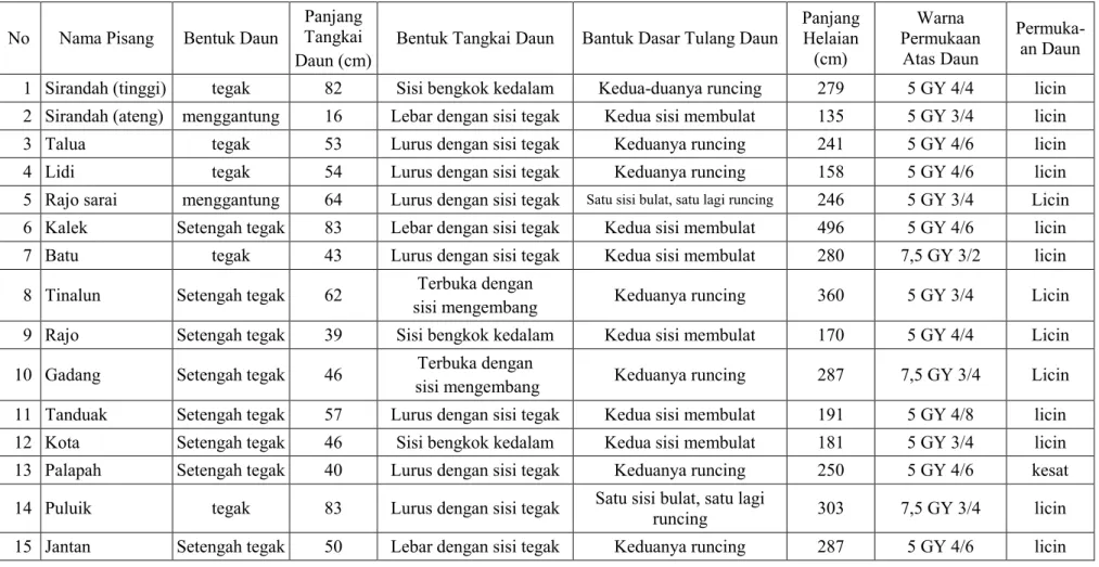 Tabel 3. Karakteristik morfologi daun pisang  