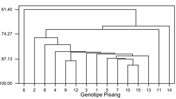 Gambar 2. Dendogram dari analisis pengelompokan dari 15 jenis pisang untuk 12            karakter morfologi 
