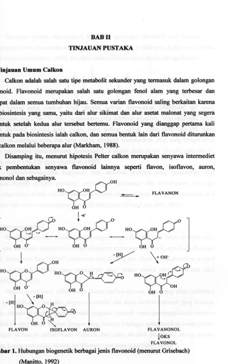 Gambar 1. Hubungan biogenetik berbagai jenis flavonoid (menurut Grisebach)  (Manitto, 1992) 
