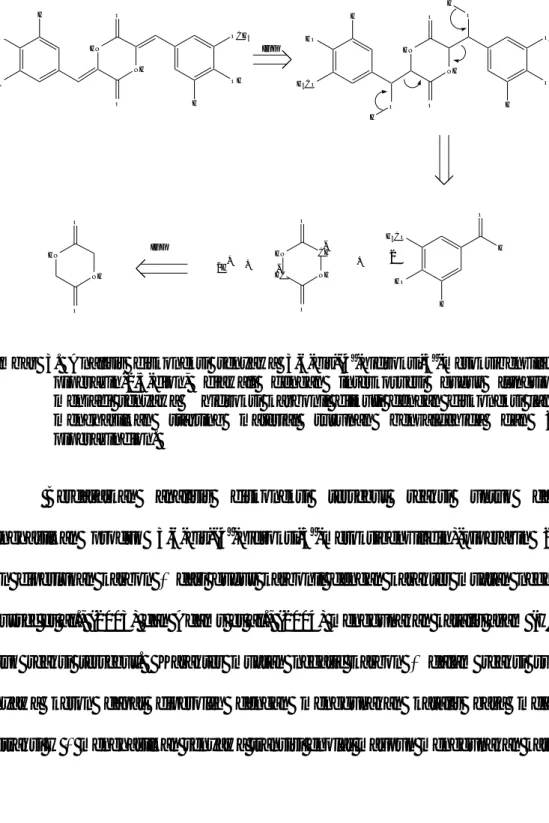 Gambar  3.  Analisis  diskoneksi  senyawa  3,6-bis-(4 ’ -hidroksi-3 ’ -metoksibenzilidin)  piperazin-2,5-dion,  diawali  dengan  interkorvesi  gugus  fungsional  menjadi  senyawa  β  hidroksi  karbonil  diikuti  dengan  diskoneksi  lanjut  menghasilkan  st