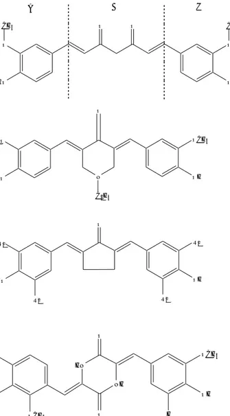 Gambar  1A.  Senyawa  kurkumin,  sebagai  senyawa  penuntun  di  bagi  menjadi  tiga  gugus farmakofor A, B dan C (Robinson et al., 2003), 1B