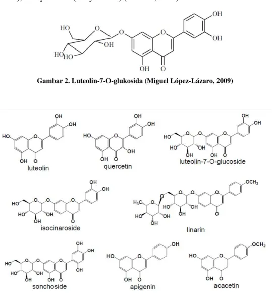 Gambar 2. Luteolin-7-O-glukosida (Miguel López-Lázaro, 2009) 