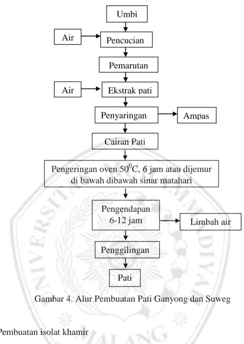 Gambar 4. Alur Pembuatan Pati Ganyong dan Suweg 