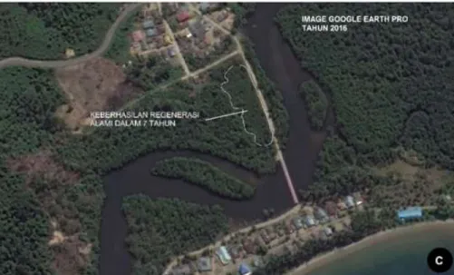 Gambar 2. Kondisi lokasi tanam di Desa Deaga: A) lokasi tanam di zona tengah dekat jalan, B) lokasi  tanam di zona dekat daratan, C) kondisi lahan yang telah ditutupi vegetasi pada tahun 2016