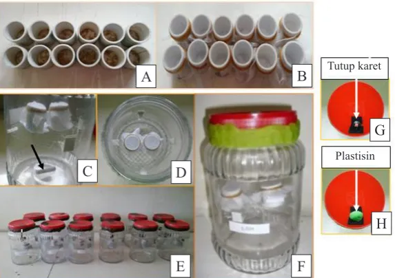 Gambar 1. Alat penghasil gas fosfin murni dari formulasi pelet aluminium fosfida, apparatus for generating phosphine