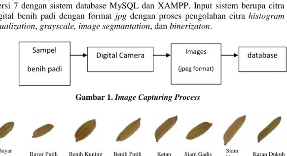 Gambar 1. Image Capturing Process 