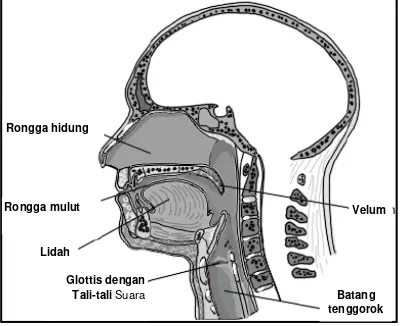 Tabel 1. Posisi lidah dalam vokal Bahasa Indonesia 