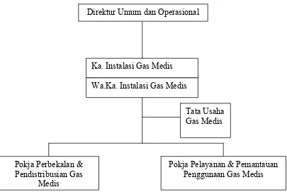 Gambar 3. Struktur Organisasi Instalasi Gas Medis RSUP H. Adam Malik 