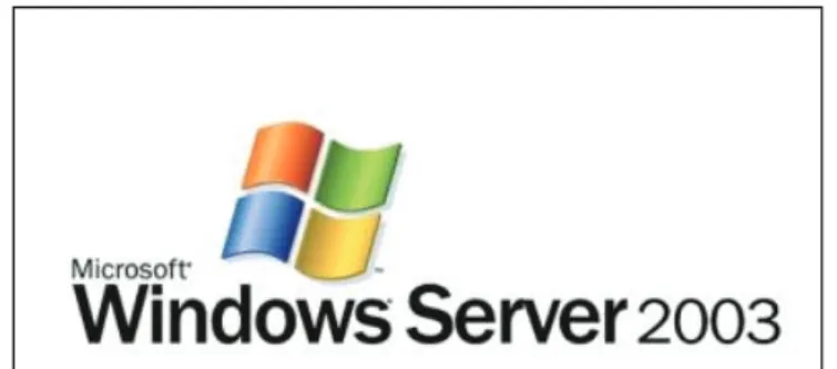 Gambar 1.2. Logo Windows Server 2003 