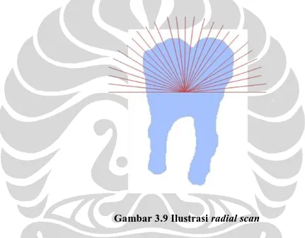 Gambar 3.9 Ilustrasi radial scan 