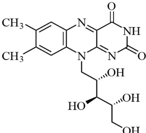 Gambar 2.1. Struktur Riboflavin  Rumus molekul  : C 17 H 2 ON 4 O 6