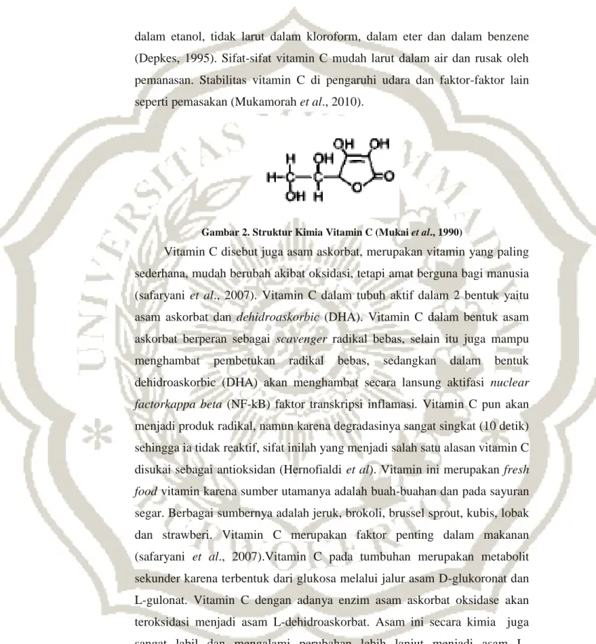Gambar 2. Struktur Kimia Vitamin C (Mukai et al., 1990) 