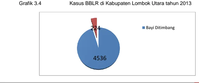 Grafik 3.4  Kasus BBLR di Kabupaten Lombok Utara tahun 2013 