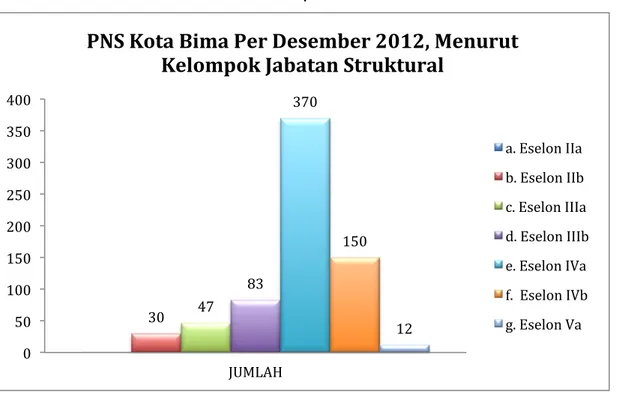 Tabel  2.12  PNS  Kota  Bima  akhir  Tahun  2012,  menurut  kelompok  jabatan  struktural dan diklat struktural yang diikuti  