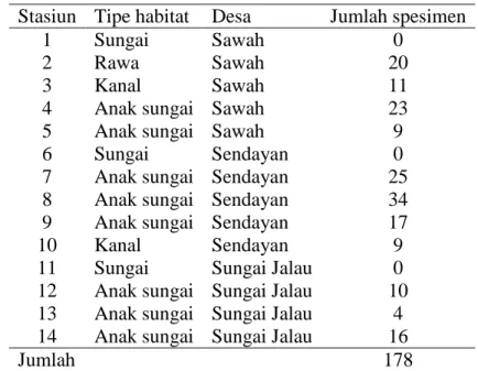 Tabel 2. Hasil tangkapan kepiting air tawar pada setiap stasiun  Stasiun  Tipe habitat  Desa  Jumlah spesimen 