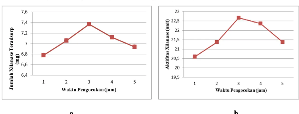 Gambar 1. Grafik hubungan antara waktu pengocokan terhadap (a) jumlah xilanase  teradsorpsi (b) aktivitas xilanase amobil 