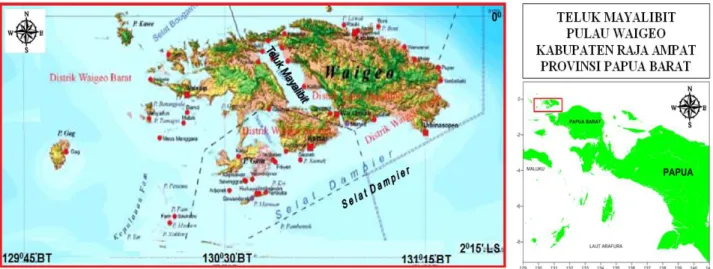 Gambar 1. Teluk Mayalibit Papua Barat 