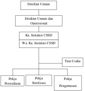 Gambar 3.2 Struktur Organisasi Instalasi Central Sterilized Supply Department (CSSD) RSUP H
