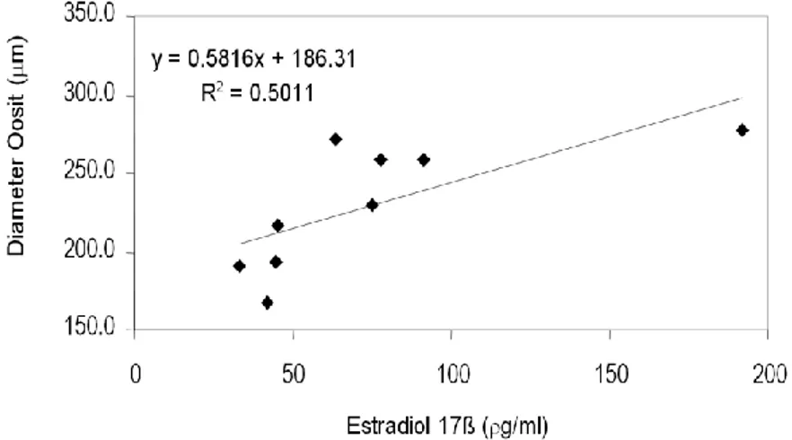 Gambar 3. Hubungan antara ukuran diameter oosit dengan konsentrasi estradiol 17β pada tahap matang (TKO  III) dari induk kepiting bakau Scylla serrata yang disuplementasi kolesterol dosis 0,5 dan 1,0% serta disuntik  serotonin 5 dan 10 μg/g bobot tubuh