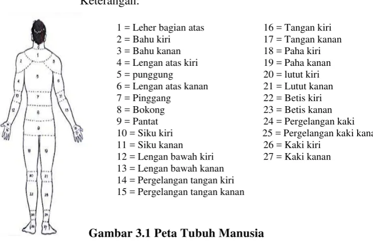 Gambar 3.1 Peta Tubuh Manusia 