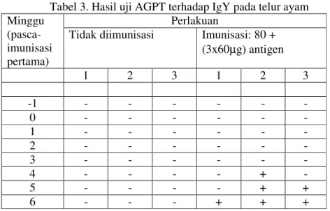 Tabel 3. Hasil uji AGPT terhadap IgY pada telur ayam  Perlakuan 