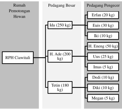 Ilustrasi 2. Pola Distribusi dan Porsi Rantai Pasok Daging Sapi dari RPH Ciawitali sampai  Pedagang Pengecer RPH Ciawitali Ida (250 kg)  Erfan (20 kg) Euis (30 kg) Iki (10 kg) H
