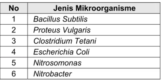 Tabel 8:  Mikroorganisme yang terdapat di  dalam Reaktor Biofilter tercelup  No  Jenis Mikroorganisme  1  Bacillus Subtilis  2  Proteus Vulgaris  3  Clostridium Tetani  4  Escherichia Coli  5  Nitrosomonas  6  Nitrobacter 