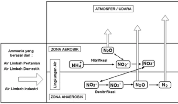 Gambar 1 : Siklus nitrogen di lingkungan  perairan. 